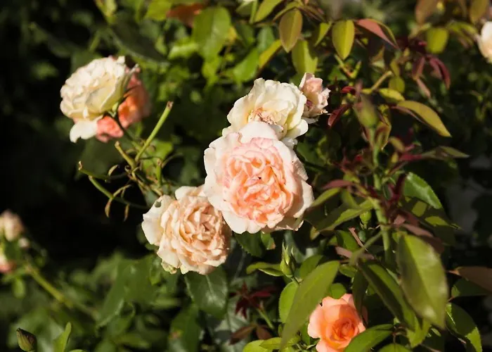 Apartamento Makris House- Panorama Agia Efimia